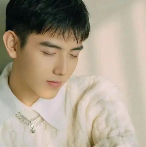 微信头像陈飞宇