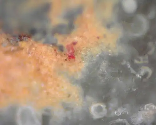 宋 汝窑 天青釉菊花瓣口瓷碗 开片气泡鉴识