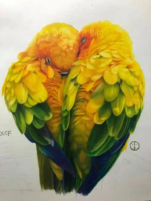 惊艳了时光,和绪长发一起来画彩铅画吧