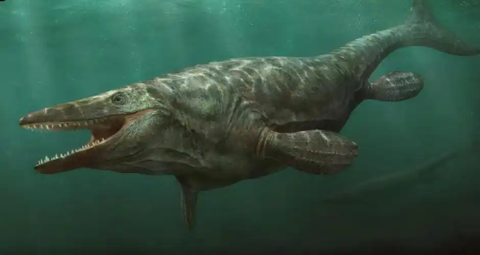 宇宙十大恐怖生物(盘点地球上曾经存在过的10种可怕的远古生物)