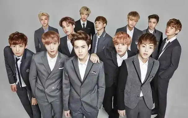 exo有几个小分队