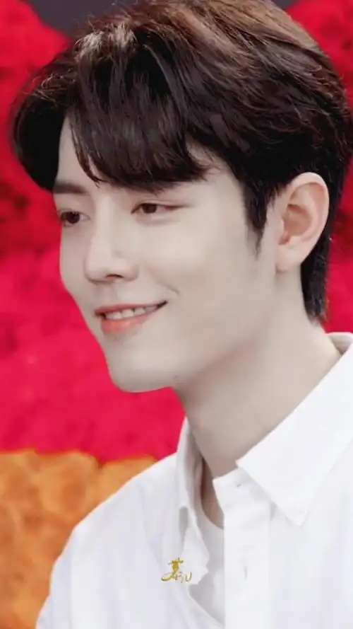 向全世界安利肖战#白衬衣可以封神了吧?又纯又欲!