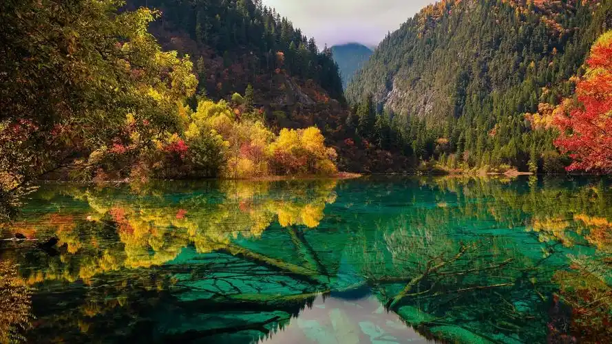 唯美迷人的秋季风光桌面壁纸