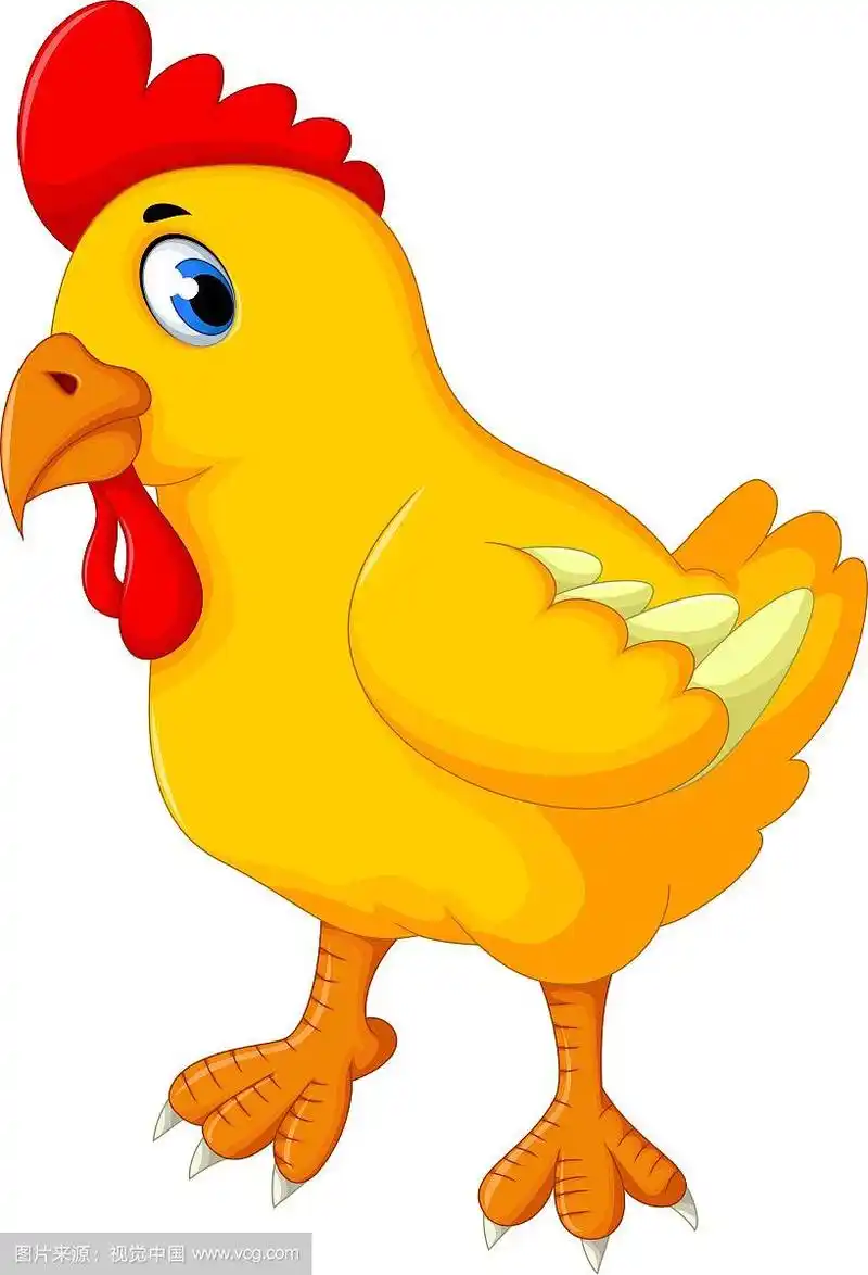 可爱的小鸡卡通造型