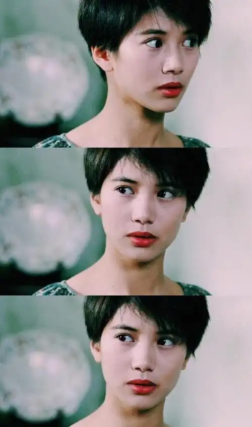 袁咏仪一上来就干脆直接演电影,并且凭借着《新不了情》《金枝玉叶》