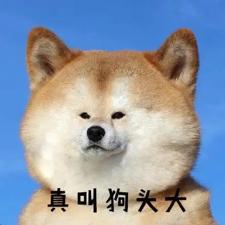 柴犬表情包真叫狗头大