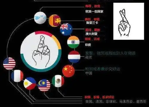 图片里手势什么意思