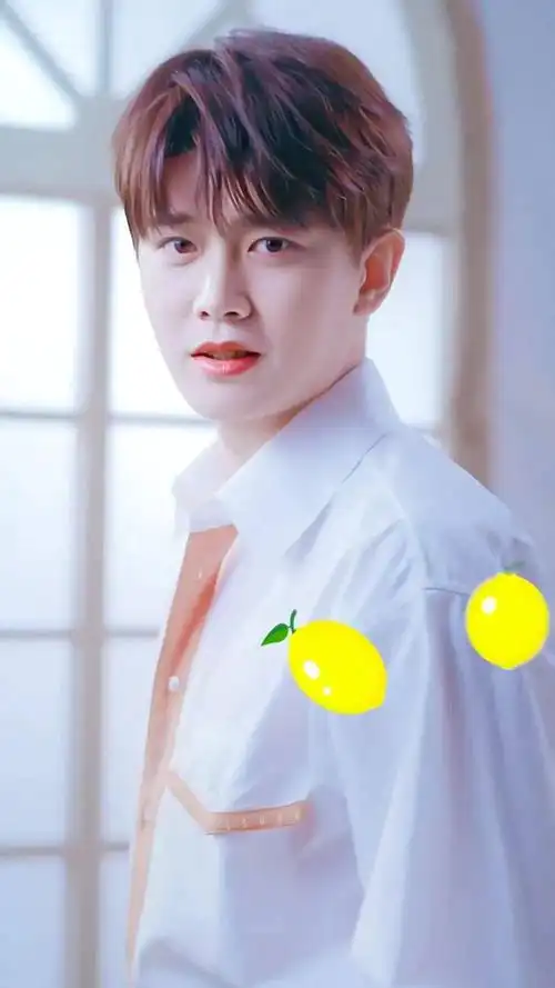 手机壁纸任嘉伦