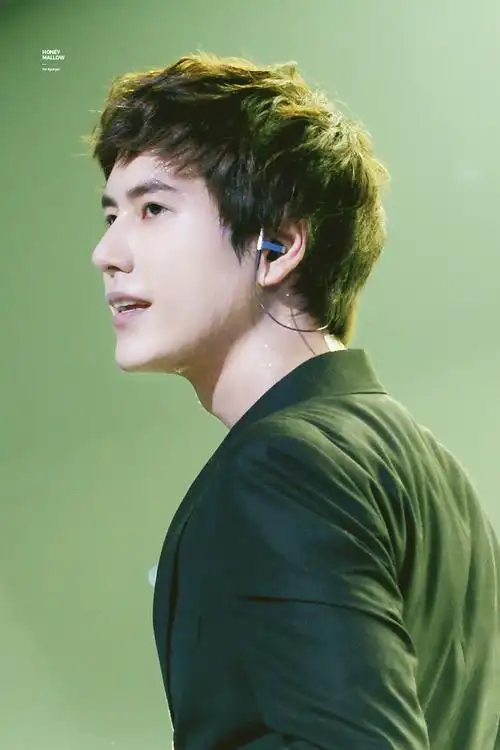 我真的很想安利曺圭贤1217更新