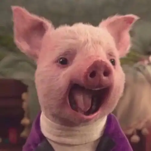 可爱又憨憨的头像高清呆萌可爱的憨憨沙雕头像图片