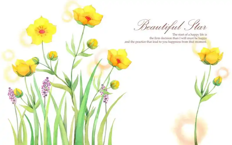 韩国手绘花朵创意设计桌面壁纸