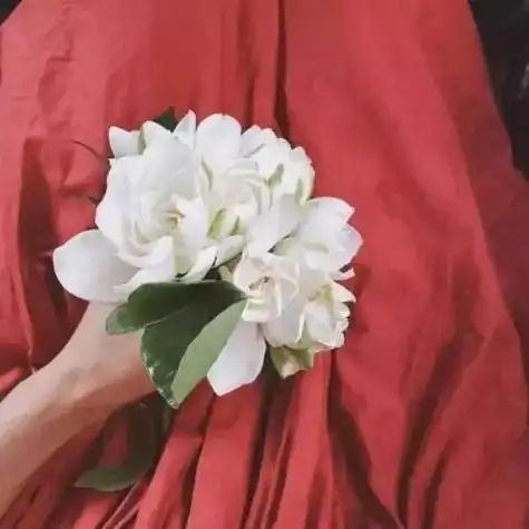 2020抖音超火朋友圈背景图说明(抖音最近很火的50张朋友圈背景图)-游