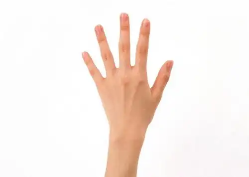 东方人,手,一个人,横图,室内,特写,白天,白色背景,正面,亚洲,仅一个