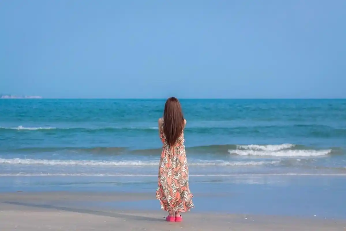 董卿在她的主持生涯中一直强调的:"不只是把事实讲述出来",这不仅是一