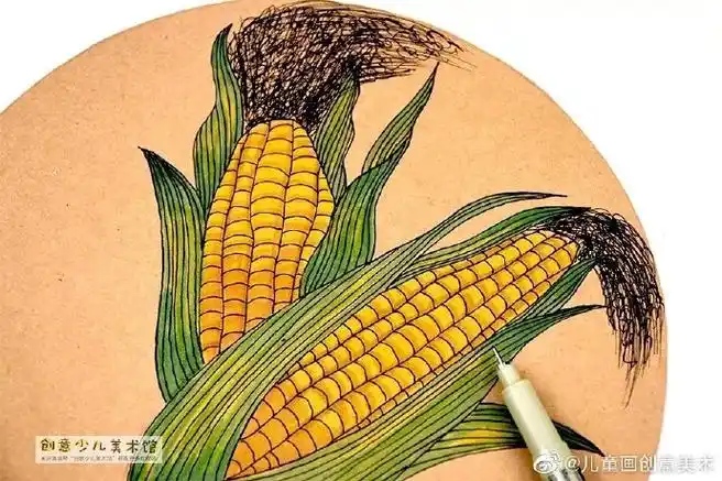 教程| 写生画香甜的玉米#线描##趣味儿童画#你吃过玉米吗?