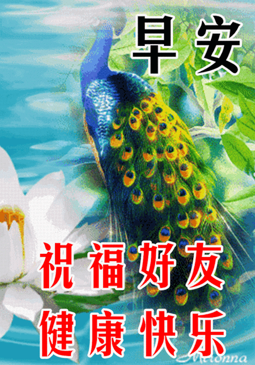 640_916竖版 竖屏gif 动态图 动图