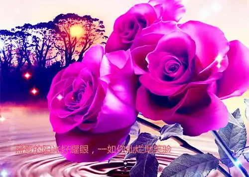 浪漫玫瑰花爱情文字图片_玫瑰花的浓浓爱意