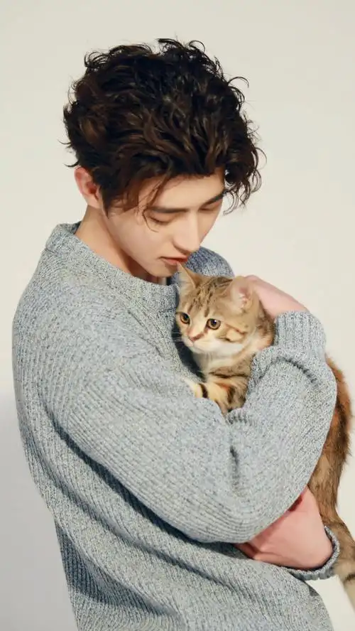 蔡徐坤美图猫咪怀中抱温暖又帅气