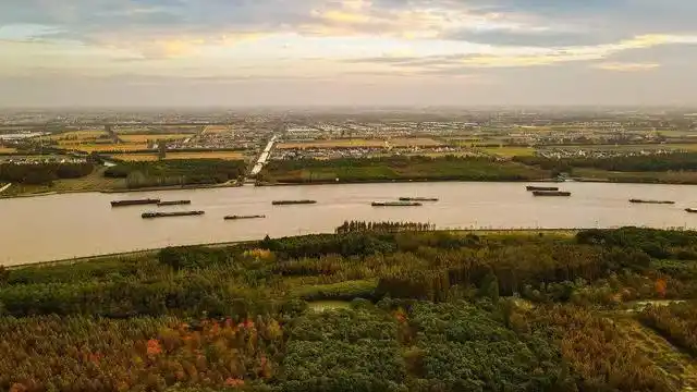 乘坐游览车穿行在松南郊野公园的小路上,道路两侧高大茂密的水杉林