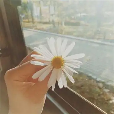 好看的手拿东西头像个性唯美