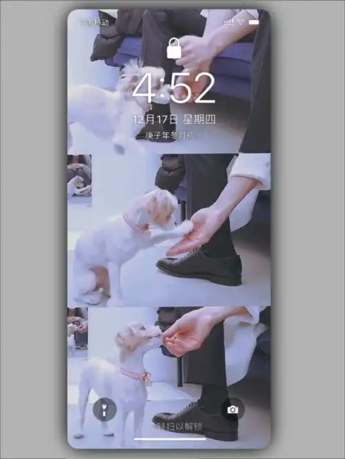 1080_1439竖版 竖屏