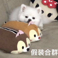 就知道顶嘴我让你一天到晚叭叭叭没钱打卡 开机 打开微信 开始水