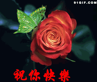 394_333gif 动态图 动图