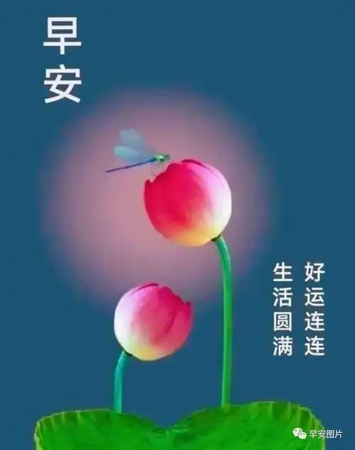 祝福各位快乐健康顺利开心,幸福平安,吉祥好运,如意美满!早安!