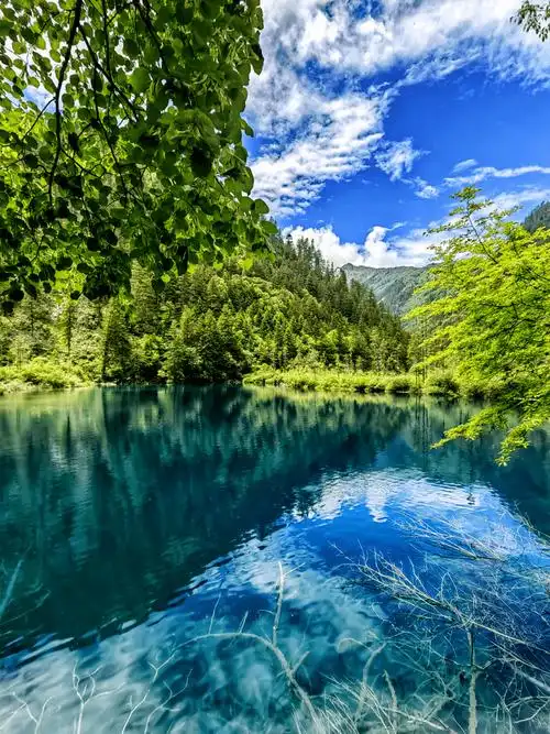 九寨沟夏天的关键词有浪漫,理想,情感,旖旎风景是极具浪漫主义的山水