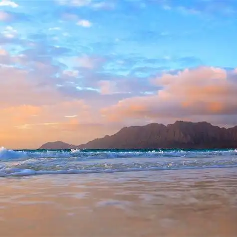 淡雅的风景头像图片,簇新的景致令人欣喜不已