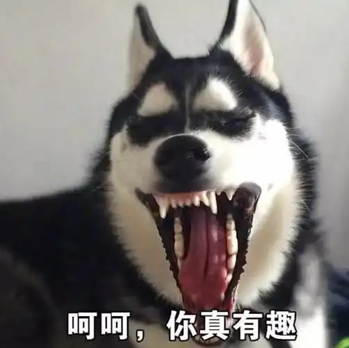 搞笑沙雕狗子头像这是金雕那是银雕你是我的小沙雕