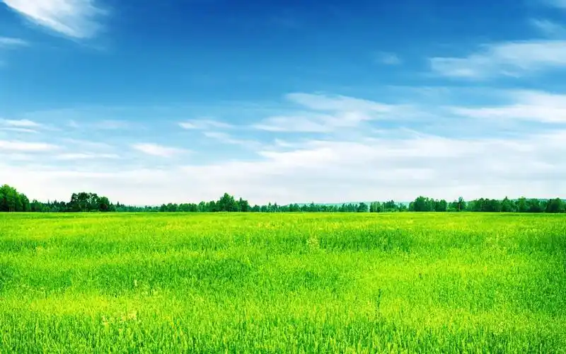 唯美护眼绿色风景图片桌面壁纸