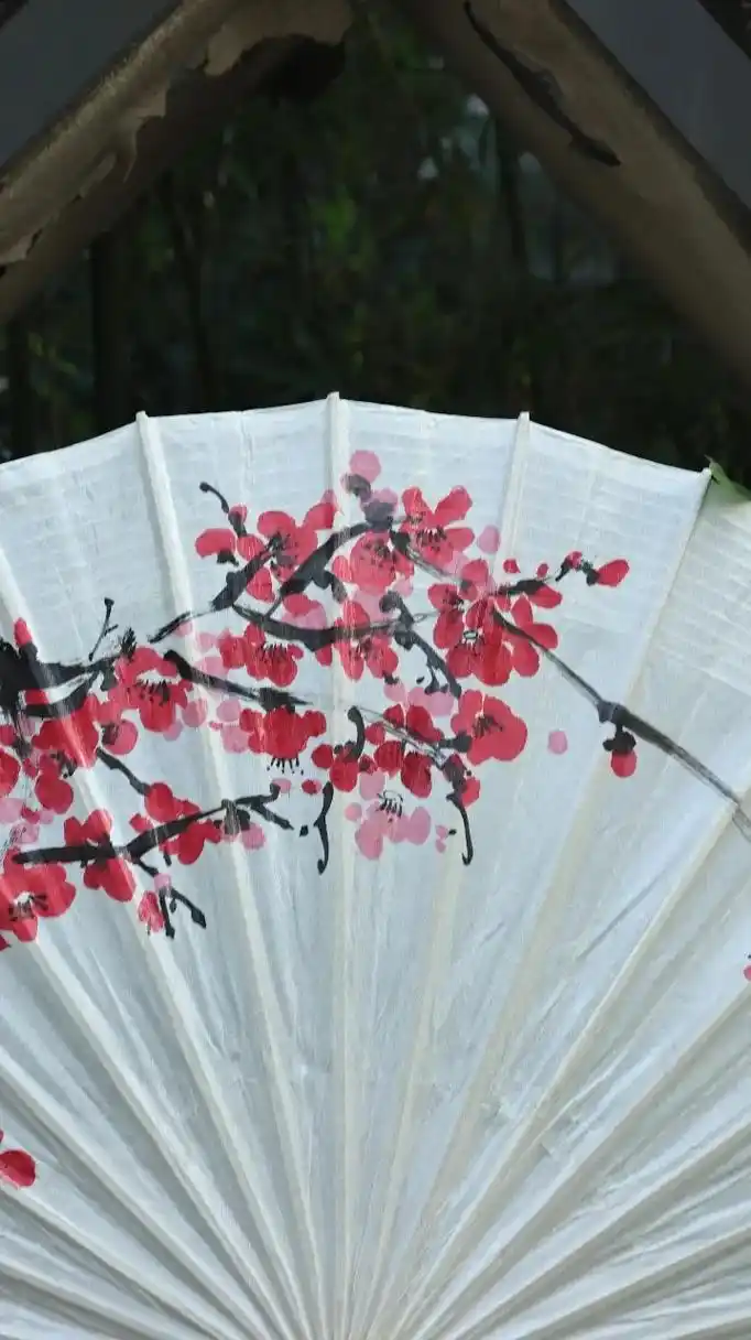 梅花·油纸伞.砌下落梅如雪乱,拂了一身还满#非遗 #油纸伞  - 抖音