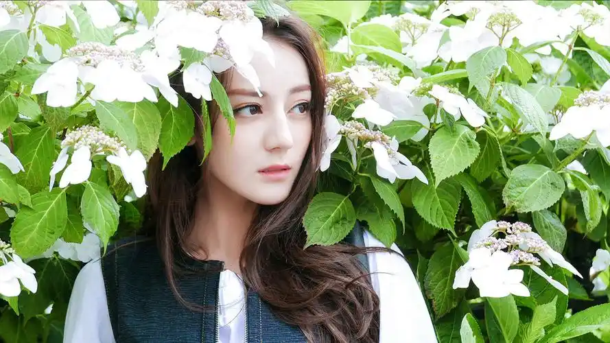 美女明星迪丽热巴高清桌面壁纸