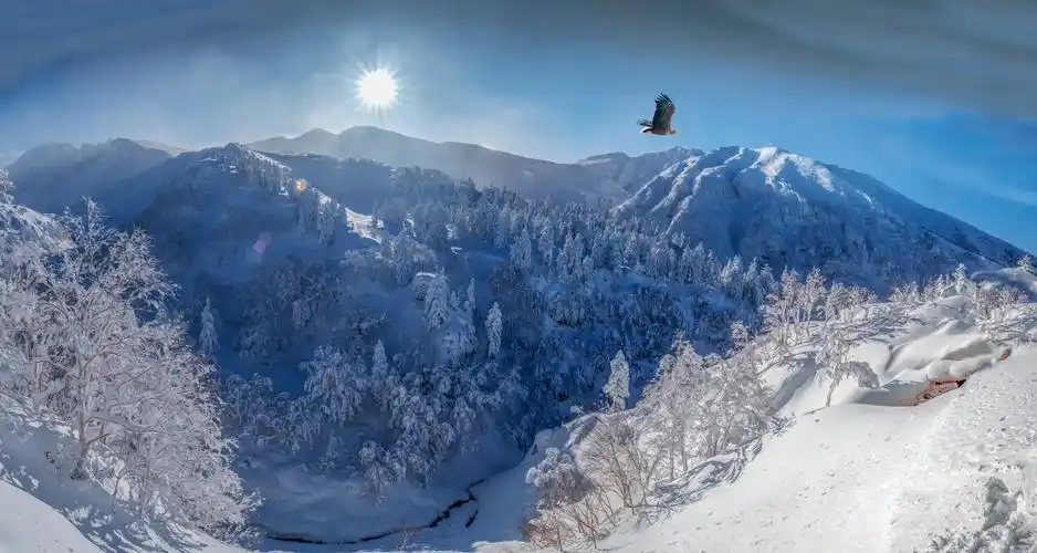 北海道的冬天 摄影:宋晓斌