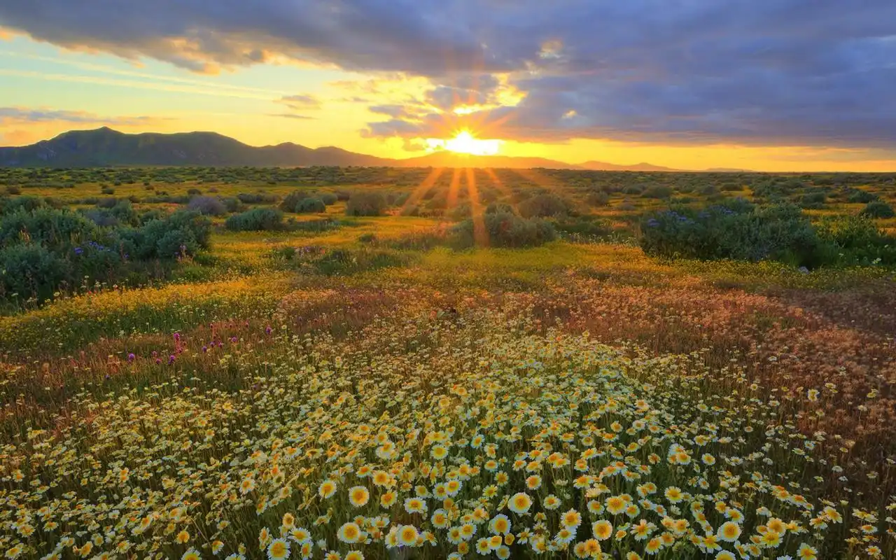 自然山水美景唯美意境图片桌面壁纸第一辑高清大图预览1440x900_风景