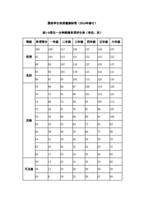 一分钟跳绳评分标准docx4页