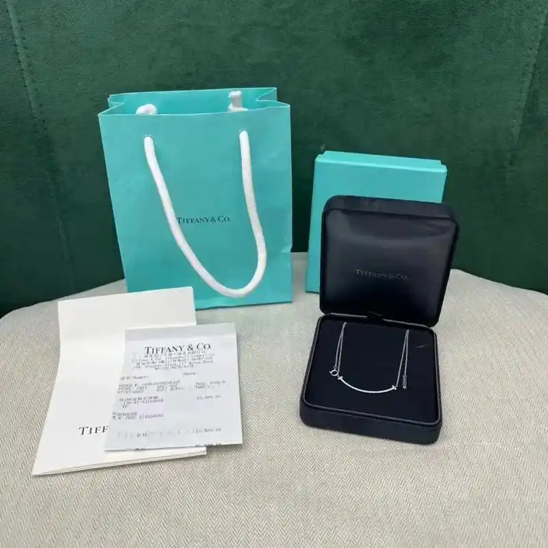 tiffany蒂芙尼小号笑脸项链满钻