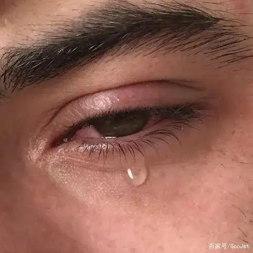 michael dean johnson 是一位真人秀明星,健身模特和职业健美运动员