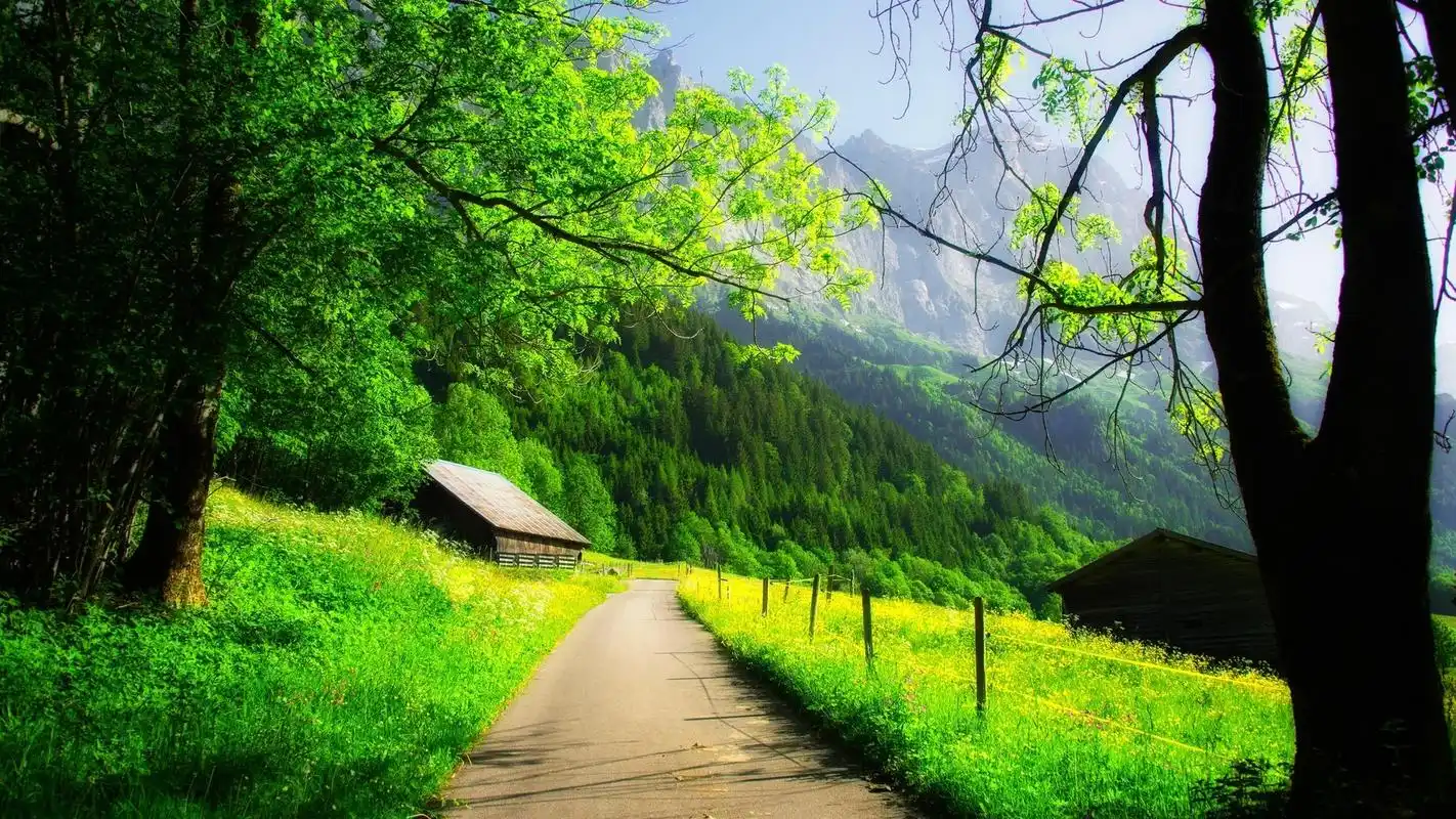 精选大自然绿色护眼图片合集宽屏高清电脑桌面壁纸下载7p高清大图预览