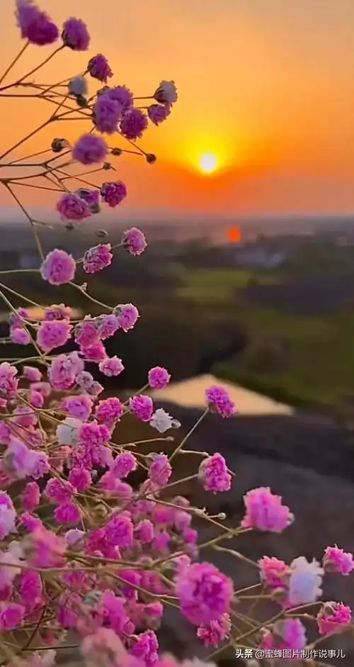 壁纸美图,美的风景为您带来愉快的心情