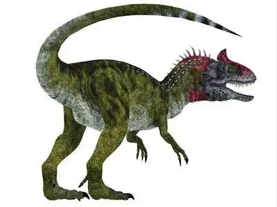 脊龙恐龙的尾巴gigantspinosaurus 恐龙的尾巴虎川麻龙恐龙尾巴sa