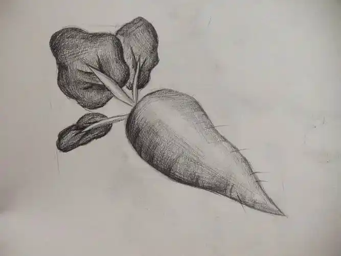 儿童素描画 儿童素描画图片大全