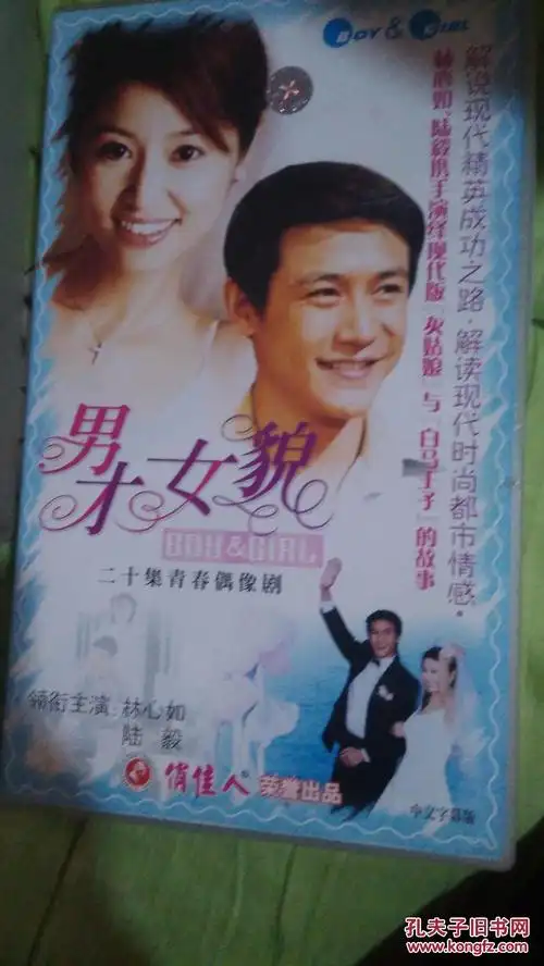 电视连续剧电视剧vcd 男才女貌20碟林心如陆毅