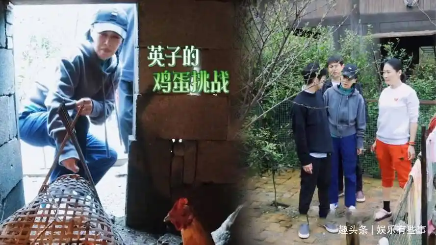 那英掏蛋黄磊护驾,打趣曾和杨紫也这样保护张艺兴,那英耿直反驳_节目