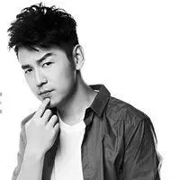 雷佳音微信头像钢铁侠_微信头像图片大全