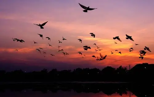 唯美意境夕阳美景图片桌面壁纸