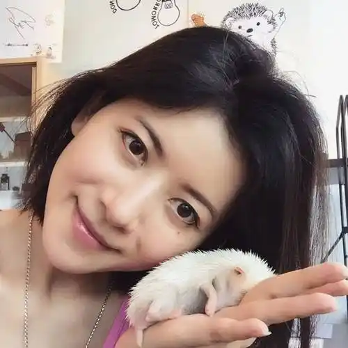 陈霁平_名字_香港