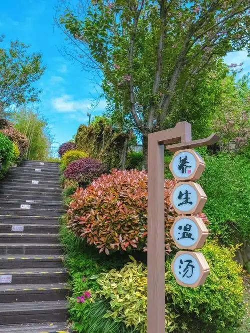 449千岛湖伯瑞特度假酒店住进湖中央半岛