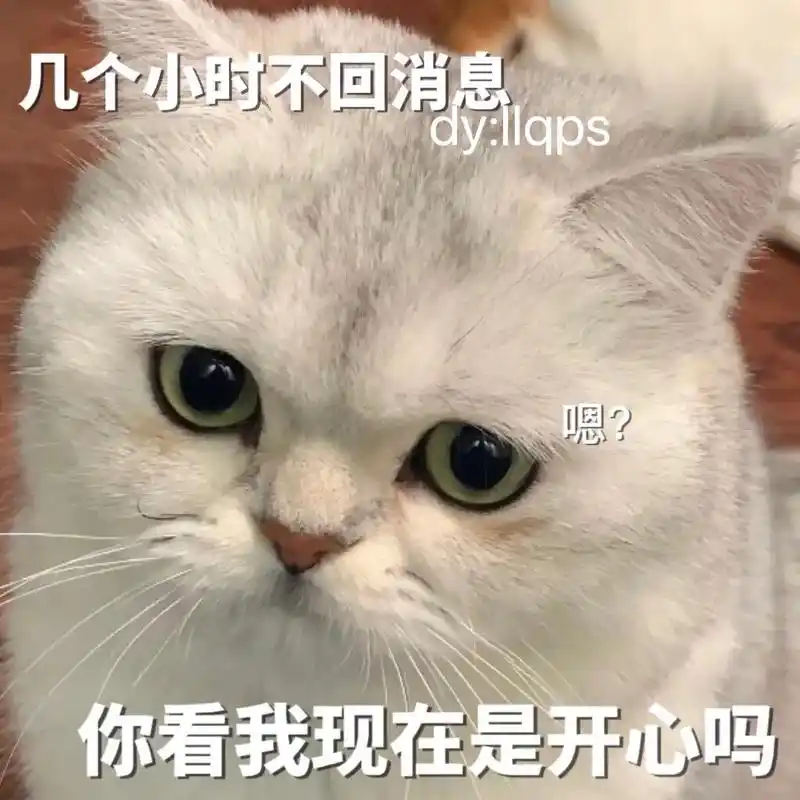 几个小时不回我消息 你看我现在是开心吗 #猫咪表情包 #表情 - 抖音